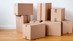 Packers and Movers Ameerpet