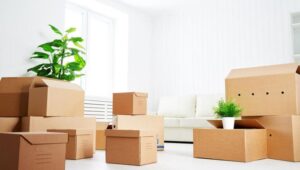 Packers and Movers Gachibowli Hyderabad