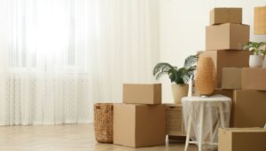 Packers and Movers HITEC City Hyderabad