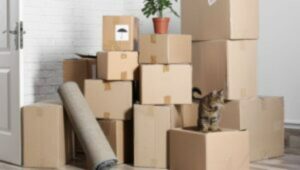 Packers and Movers Sanathnagar Hyderabad
